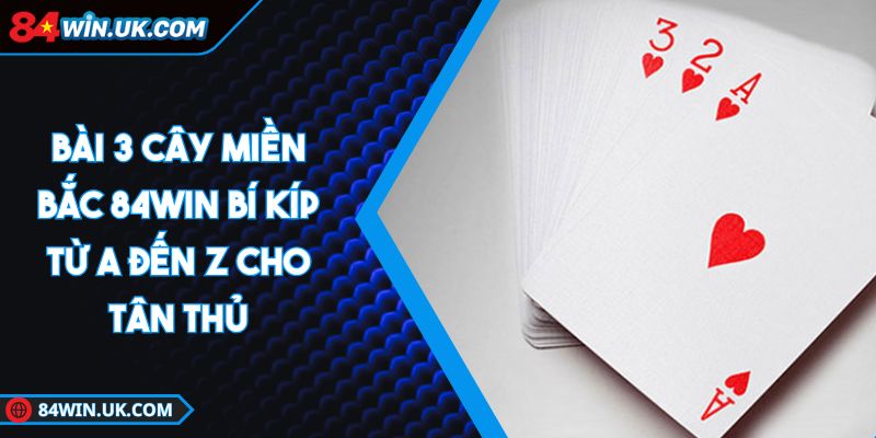 bài 3 cây miền bắc 88clb