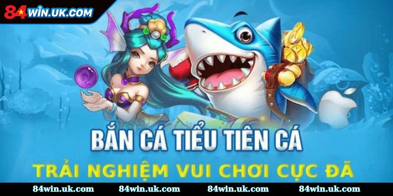 Các quy tắc cơ bản cần phải biết trong game