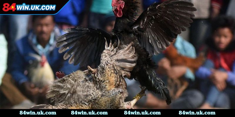 Quy định về sân chơi