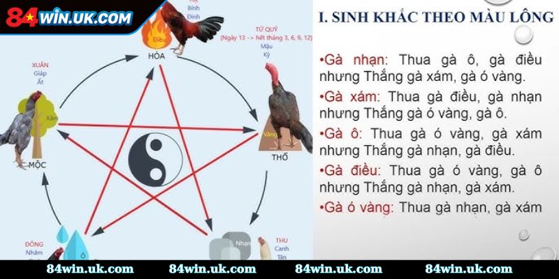 Xem màu qua mệnh Thủy