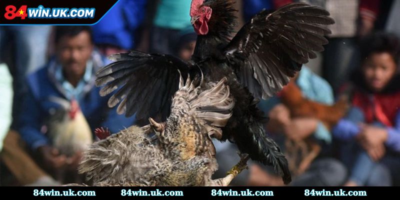 Những chú ý cần nắm khi áp dụng phương pháp