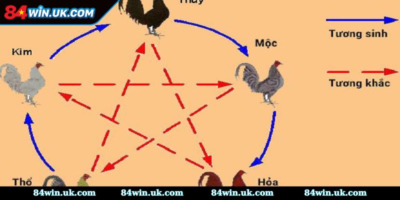 Chọn thời điểm vàng thông qua ngũ hành 
